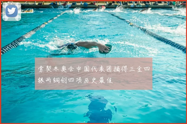 索契冬奥会中国代表团摘得三金四银两铜创四项历史最佳