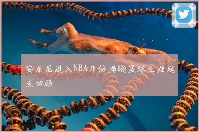 安东尼进入NBA年份揭晓篮球生涯起点回顾
