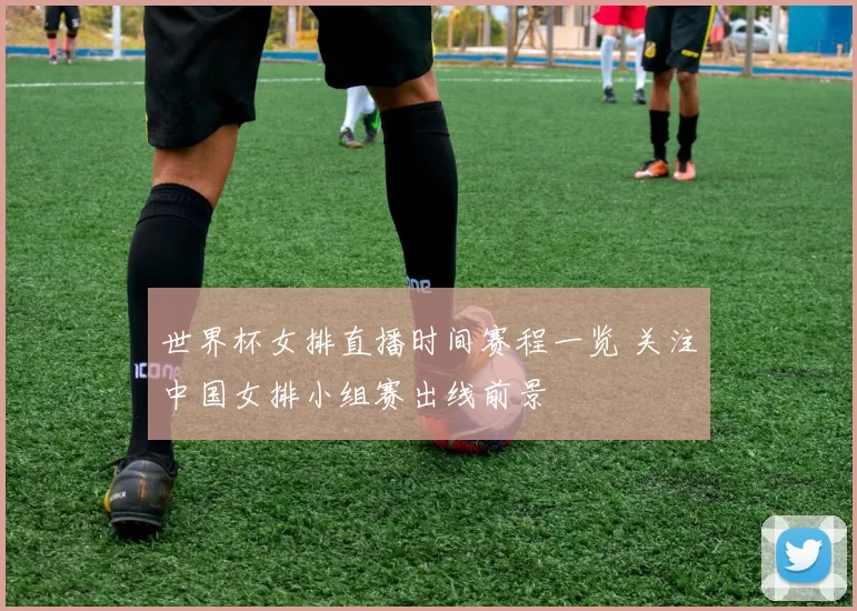 世界杯女排直播时间赛程一览 关注中国女排小组赛出线前景