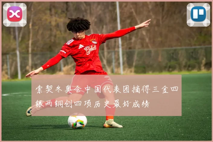 索契冬奥会中国代表团摘得三金四银两铜创四项历史最好成绩