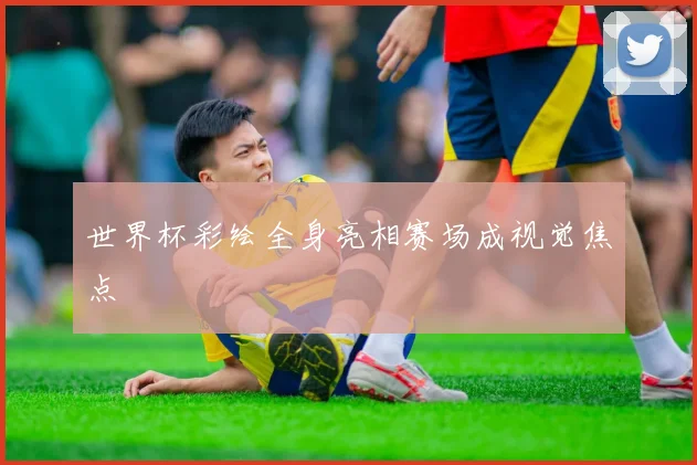 世界杯彩绘全身亮相赛场成视觉焦点
