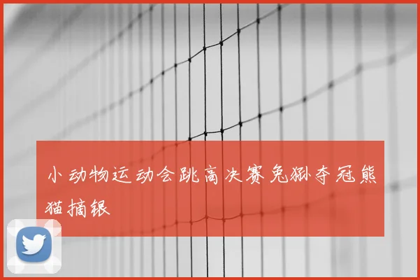 小动物运动会跳高决赛兔狲夺冠熊猫摘银